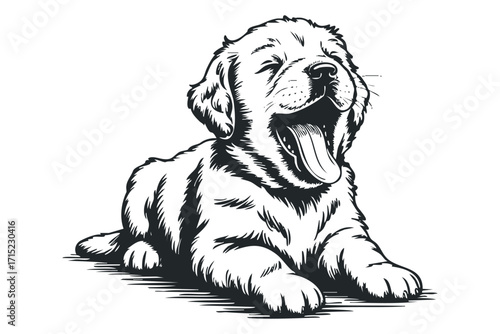 Yawning golden retriever puppy on transparent background, vector drawing. Vector hand drawn