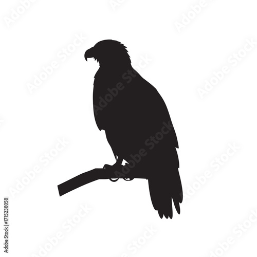 A vector illustration of a black bird on a branch, a silhouette of an eagle