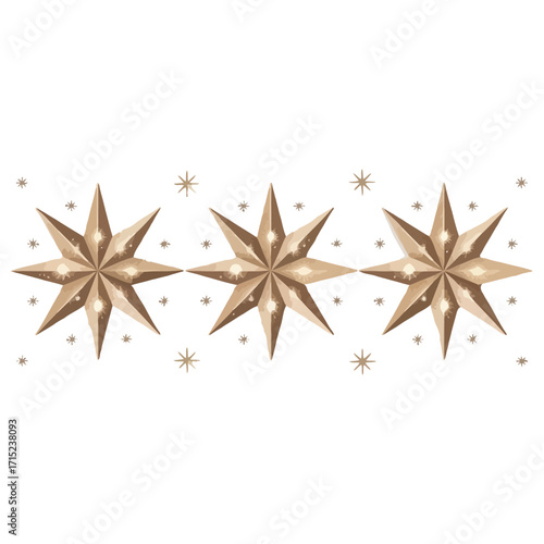 Christmas star anise on white background