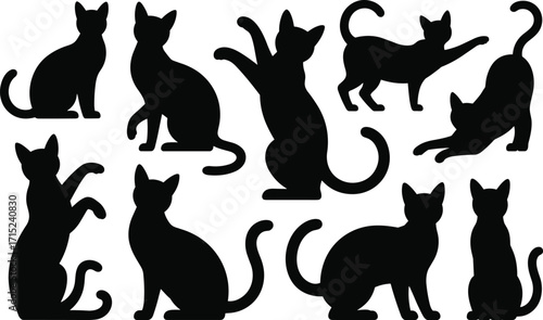 Collection of various black silhouette cat vectors with different poses for animal, pet, and Halloween designs