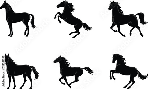 Collection of various black silhouette horse vectors for equestrian, wildlife, and farm animal designs