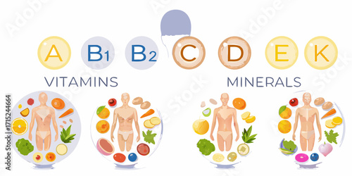 Illustration of essential vitamins and minerals with corresponding healthy foods surrounding human figures
