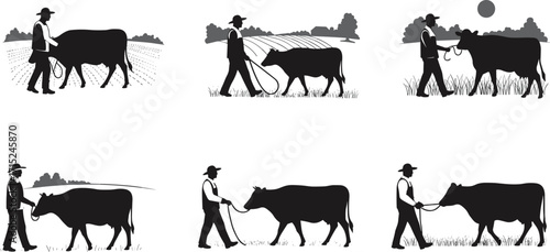 Silhouette farmer with cow, rural agriculture scene, countryside farming, livestock walking, dairy cattle, farmland background, traditional village agriculture illustration