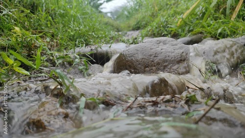 Water Flow through the Rocks: A close-up image of water rushing through rocks and flowing within a lush green environment. Evoking the serene essence of nature, showing the natural cycle of water. 