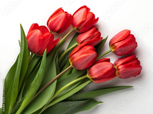 Wallpaper Mural A bouquet of red tulips with green leaves lying on a white surface in a top down view arrangement Torontodigital.ca