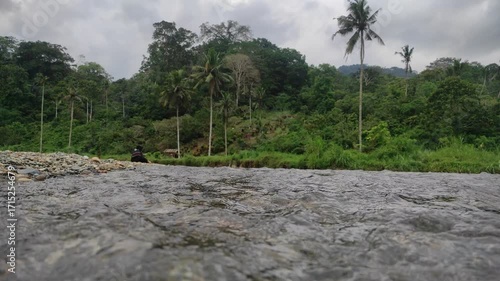 Nature's Embrace: A serene panorama unfolds, showcasing the raw beauty of flowing river and lush green forest, reflecting the tranquil ambiance of nature. 