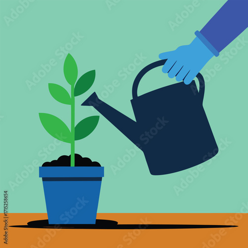 Hand watering a green plant in a blue pot gardening