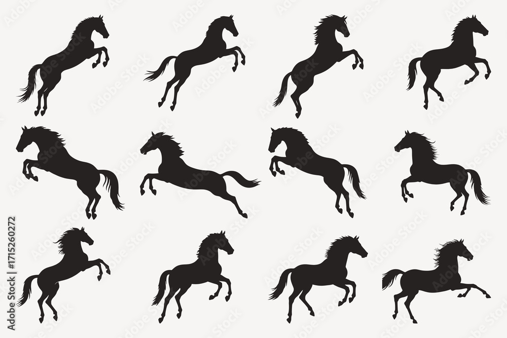 Naklejka premium horse silhouettes vector
