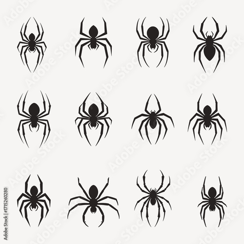 Spider black and white set