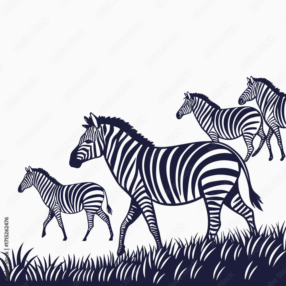 Fototapeta premium A captivating group of zebras gracefully traverses the grassy plains, their striking stripes contrasting against the, creating a mesmerizing