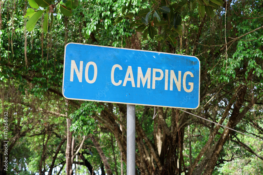 Fototapeta premium Blue No Camping sign attached to a metal pole in front of trees