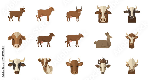 A diverse collection of stylized farm animal illustrations, featuring cows, bulls, and oxen in full-body and head portrait views.