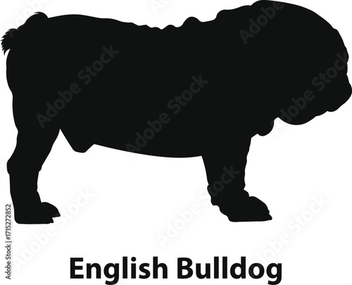 English Bulldog silhouette vector, stocky muscular companion profile with wrinkles, bold black shape, minimal flat style