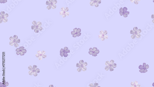 Floral seamless pattern featuring scattered Cape leadwort flowers against a soft solid purple background