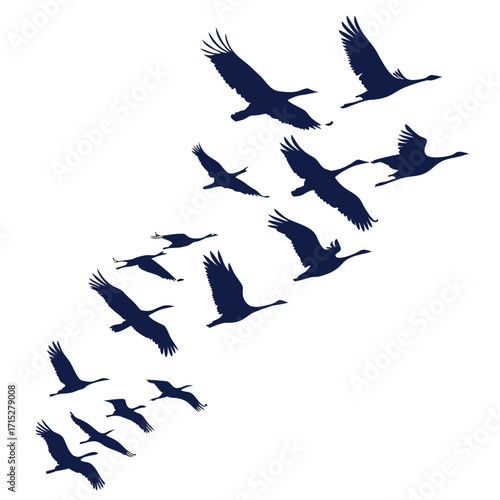 Silhouette flock of migratory birds flying in formation across a white background during daylight