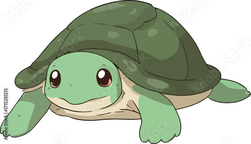 Turtle