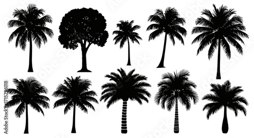 Tropical Tree Silhouettes Diverse Foliage Collection