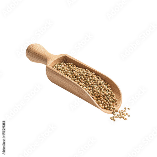 Aromatic Coriander Seeds in Wooden Scoop, Close-up Studio Shot