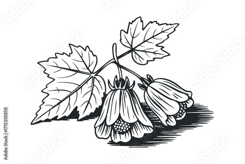 Hand drawn bell shaped flowers and leaves. Vector hand drawn