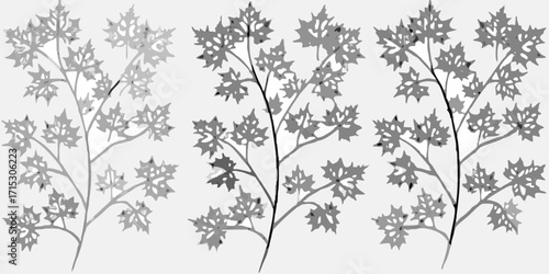 Three branches with maple leaves in grayscale with varying shades and distinct leaf shapes displayed | editable eps vectors silhouette