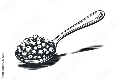 Spoon with dark berries on transparent. Vector hand drawn