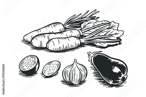 Carrots onion eggplant sliced vegetable isolated on transparent. Vector hand drawn