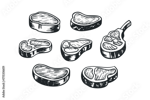Assortment of hand drawn beef steak cuts on transparent. Vector hand drawn