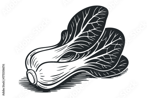 Bok Choy Greens Vegetable Cutout. Vector hand drawn