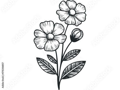 Hand drawn flower branch with bud and leaves. Vector hand drawn