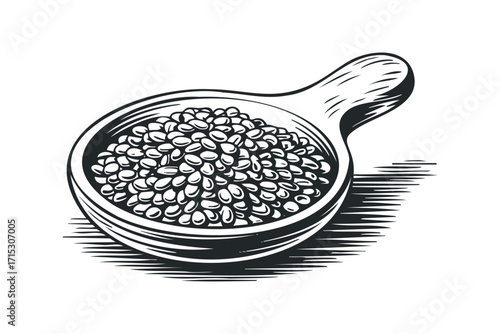 Wooden scoop filled with small seeds isolated on transparent background. Vector hand drawn