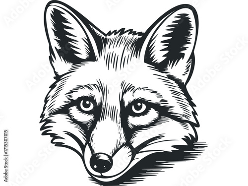 Black and White Fox Head Image. Vector hand drawn