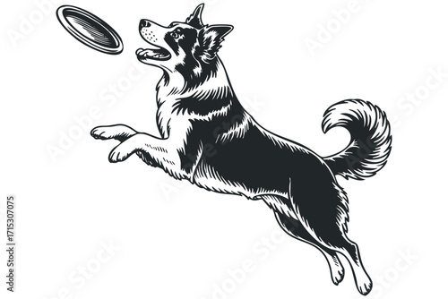 Dog leaping for frisbee. Vector hand drawn