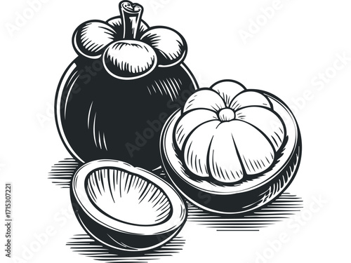 Mangosteen fruit whole and halved illustration on transparent background. Vector hand drawn