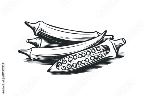 Stack of Okra Pods Transparent Background. Vector hand drawn