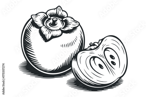 Persimmon fruit whole and sliced on transparent background. Vector hand drawn