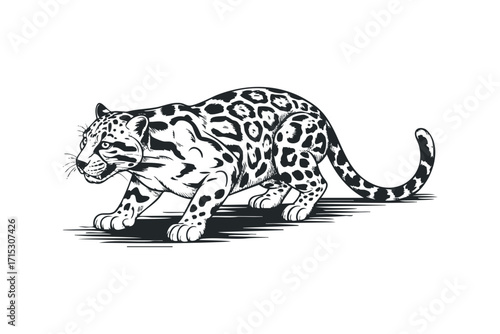 Leopard Stalking on Transparent Background. Vector hand drawn
