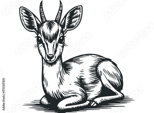 Stylized Gazelle Silhouette Transparent Background. Vector hand drawn