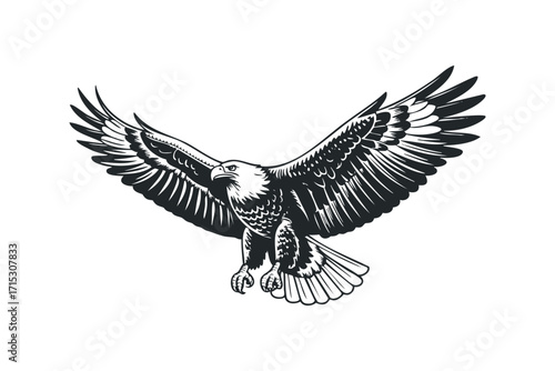 Majestic eagle with open wings in flight monochrome. Vector hand drawn
