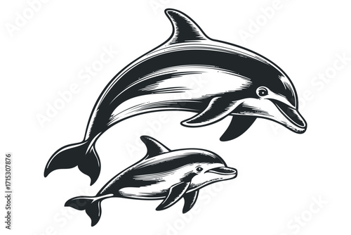 Two dolphins swimming on transparent background image. Vector hand drawn