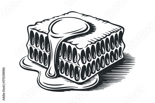Honeycomb with dripping honey on transparent background. Vector hand drawn