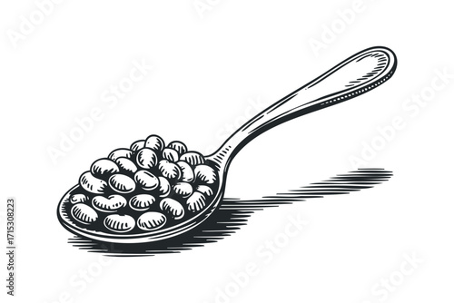 Spoonful of beans Transparent background Isolated. Vector hand drawn