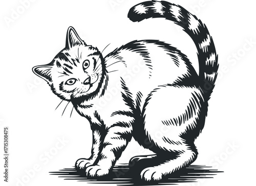 Playful tabby kitten with striped tail on transparent background. Vector hand drawn
