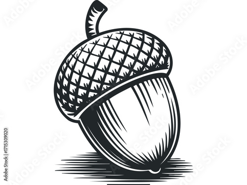 Monochromatic Acorn Icon With Textured Cap. Vector hand drawn