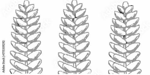 Three stylized wheat stalks in a row with detailed leaves and textured appearance in grayscale tone view | editable eps vectors silhouette