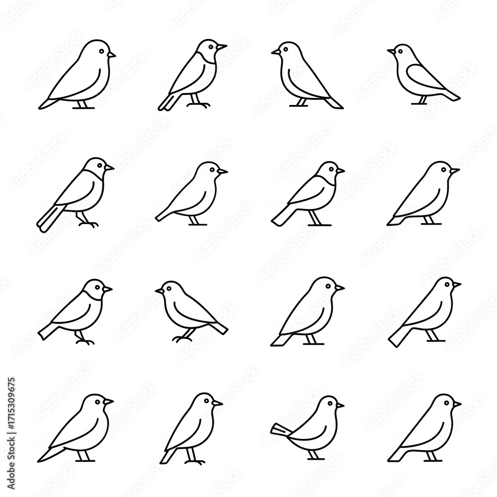 Obraz premium Simple Line Art Bird Illustrations: Various Poses and Outlines.
