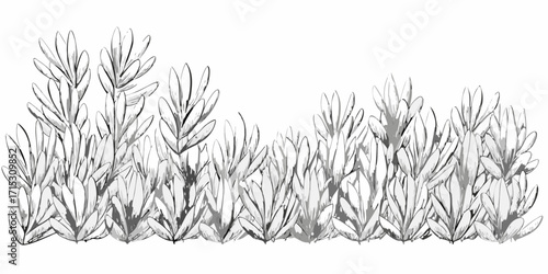 Illustration of dense vegetation with pointed leaves in shades of gray and white monochrome drawing style | editable eps vectors silhouette