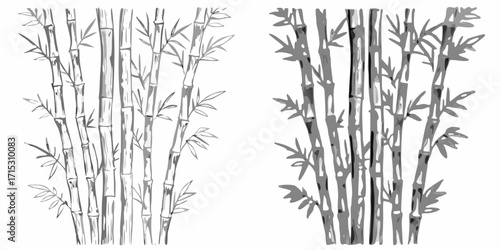 Illustration showing two groups of bamboo stalks with leaves in grayscale on a white background view | editable eps vectors silhouette