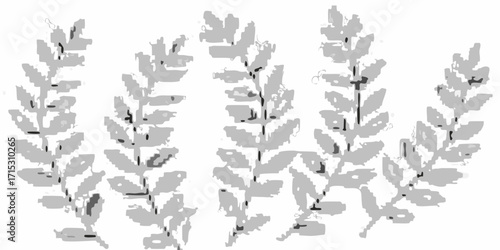 Five fern fronds arranged in a semi circle pattern with a white background and gray leaves and stems | editable eps vectors silhouette