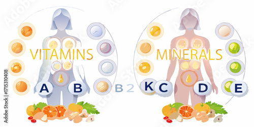 Illustration of the human body with vitamins and minerals depicted as circles and fruits representing sources of nutrition