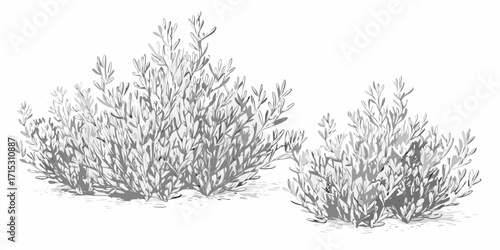 Illustration of two bushes with dense foliage and shadows in grayscale against a white background scene | editable eps vectors silhouette